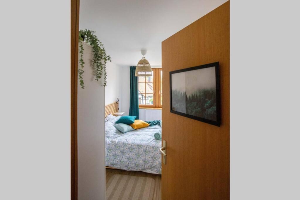 Charming Apartment Basel Border - 3 Bedrooms Hegenheim Exterior foto